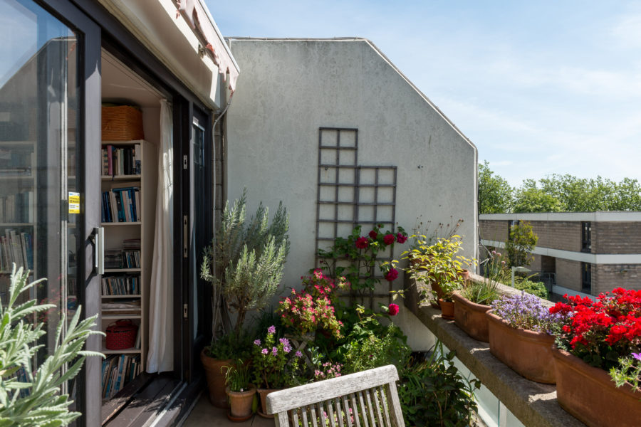 A rooftop garden terrace with plants